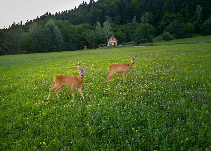 Casa de Férias Bogdanowka